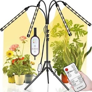 LED Floor Grow Lights for Indoor Plants